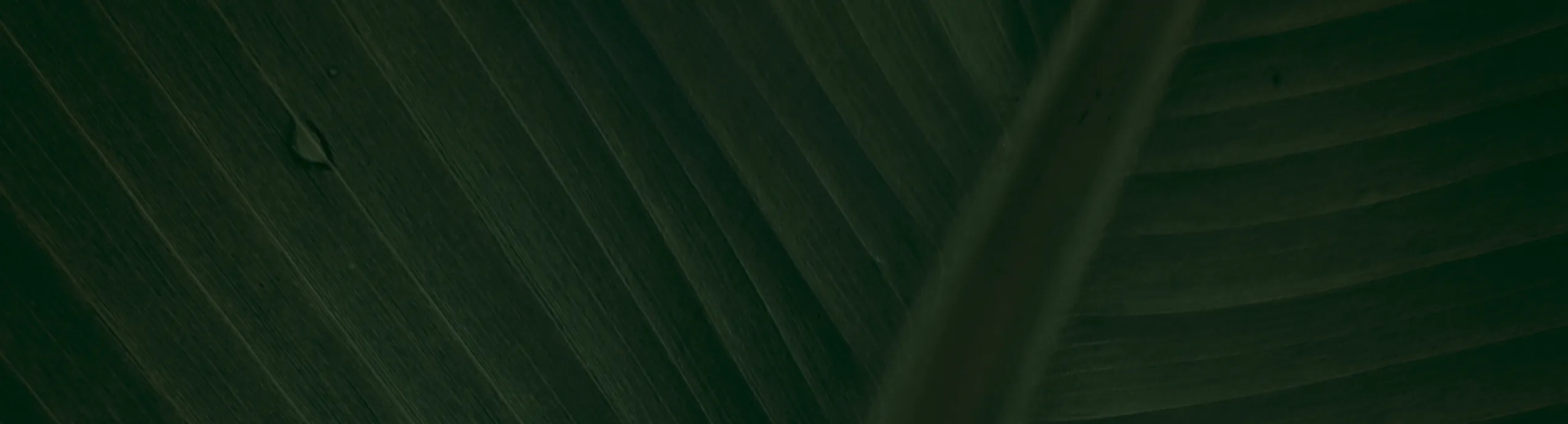 Both Registration Fee + Sponsorship